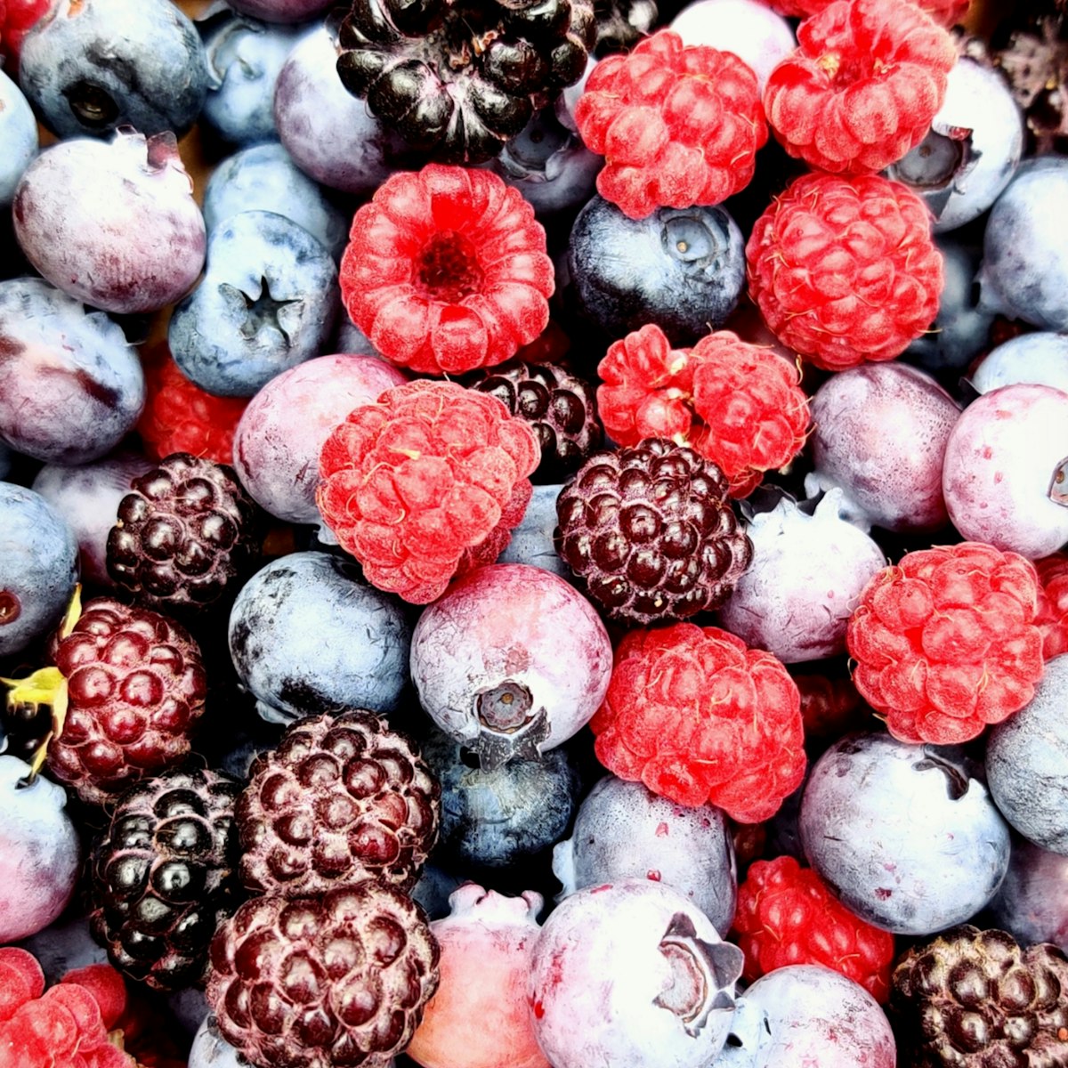 Mixed Berry Yogurt Bites